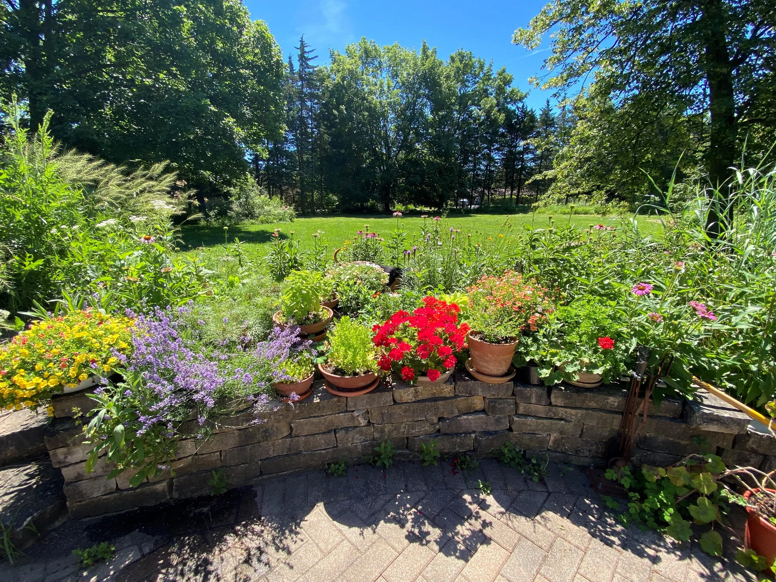 About 1 — Grayslake Greenery Garden Club